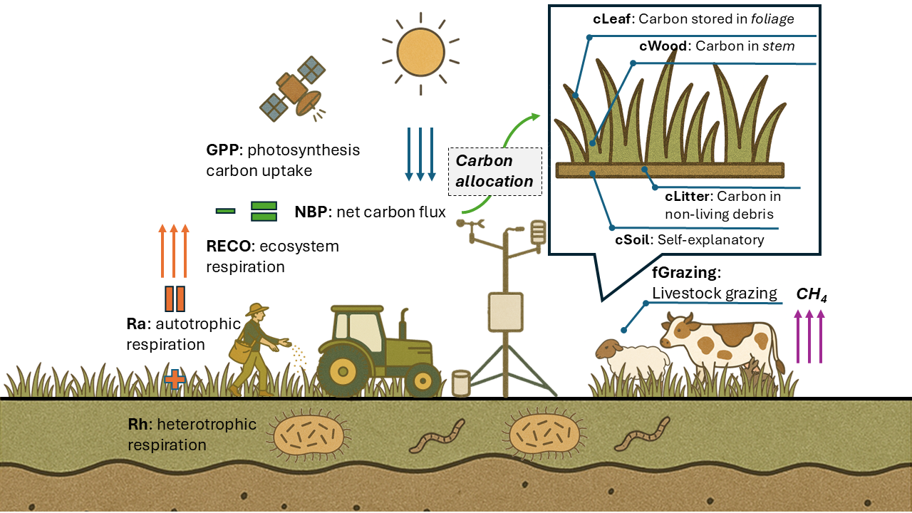 GeoAIgrass project image
